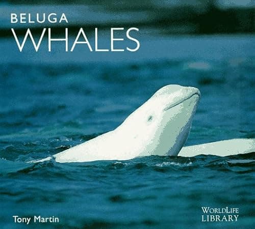 Book cover for Beluga Whales (WorldLife Library Series) by Martin, Tony