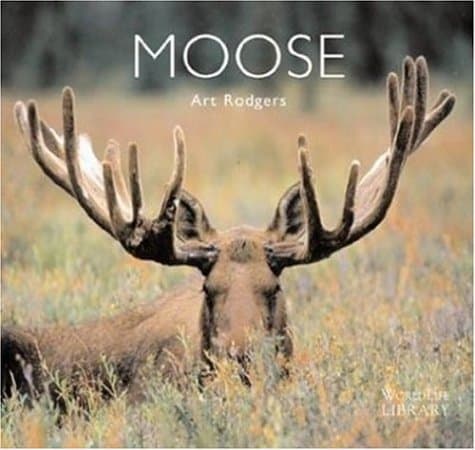 Book cover for Moose (World Life Library) by Rodgers, Art