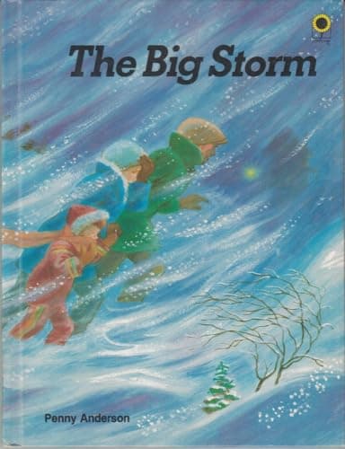 Book cover for The big storm by Penny S Anderson
