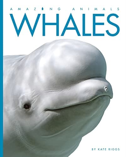 Book cover for Amazing Animals: Whales by Riggs, Kate