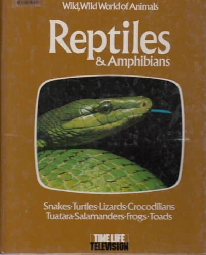 Reptiles and Amphibians (Wild, Wild World of Animals)