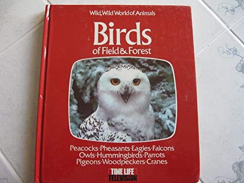 Book cover for Birds of field & forest: Based on the television series Wild, wild world of animals by Wood, Peter