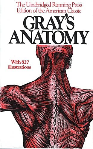 Book cover for Anatomy, Descriptive and Surgical, 1901 Edition by Henry Gray