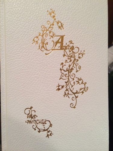 Book cover for Anitya by Twitchell, Paul