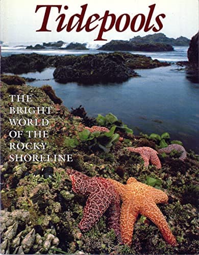Book cover for Tidepools by Diana Barnhart
