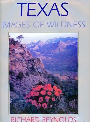 Book cover for Texas by Reynolds, Richard