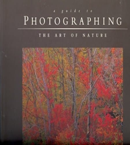 Book cover for A Guide to Photographing the Art of Nature by Heinemann, Bruce W.