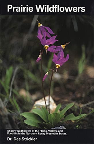 Book cover for Prairie Wildflowers by Strickler, Dee Dr