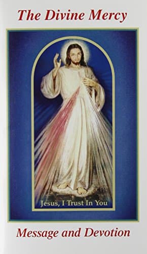 Book cover for The Divine Mercy Message and Devotion by Fr. Seraphim Michalenko