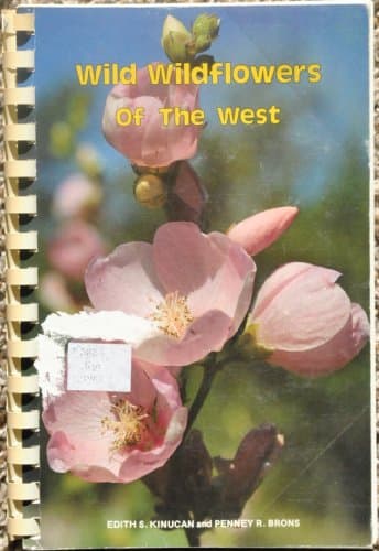 Book cover for Wild Wildflowers of the West by Edith S. Kinucan