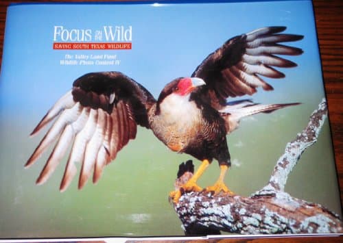 Book cover for Focus on the Wild: Saving South Texas Wildlife: The Valley Land Fund Wildlife Photo Contest IV by Ron Smith