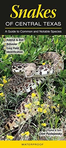 Book cover for Snakes of Central Texas: A Guide to Common & Notable Species (Quick Reference Guides) by Clint Pustejovsky