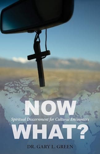 Book cover for Now What?: Spiritual Discernment for Cultural Encounters by Green, Gary L.