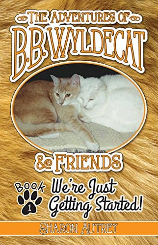 The Adventures of B.B. Wyldecat & Friends: Book 1: We're Just Getting Started!