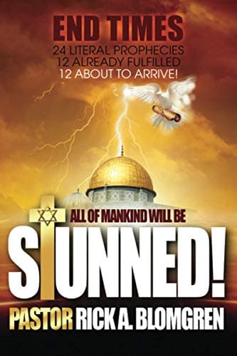 Book cover for Stunned by Blomgren, Rick A.