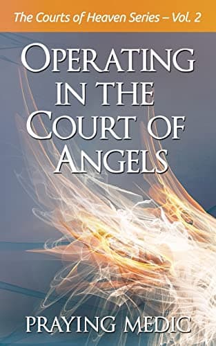 Book cover for Operating in the Court of Angels (The Courts of Heaven) by Medic, Praying