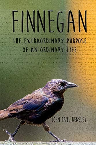 Book cover for Finnegan by Bensley, John Paul