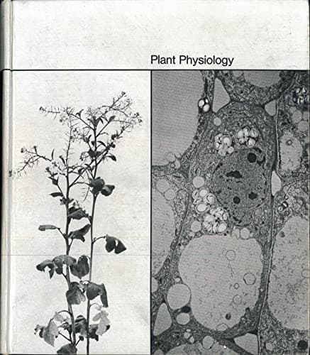 Plant Physiology