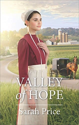 Book cover for Valley of Hope by Price, Sarah