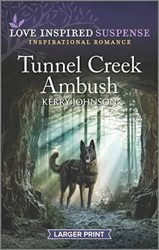 Book cover for Tunnel Creek Ambush (Love Inspired Suspense) by Johnson, Kerry