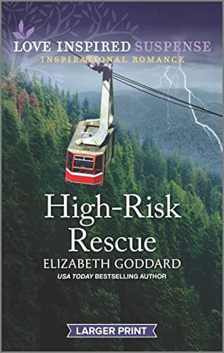 Book cover for High-Risk Rescue (Honor Protection Specialists, 1) by Goddard, Elizabeth