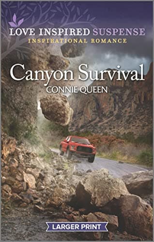 Book cover for Canyon Survival (Love Inspired Suspense) by Queen, Connie