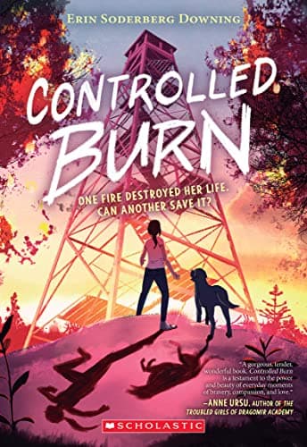 Book cover for Controlled Burn by Downing, Erin Soderberg