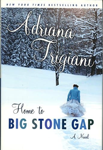 Book cover for Home to Big Stone Gap: A Novel by Trigiani, Adriana