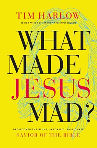 Book cover for What Made Jesus Mad?: Rediscover the Blunt, Sarcastic, Passionate Savior of the Bible by Harlow, Dr. Tim