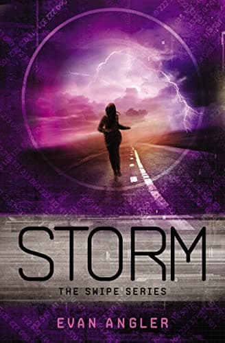 Book cover for Storm (Swipe Series) by Angler, Evan