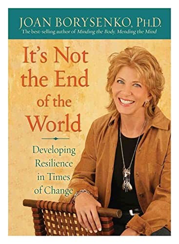 Book cover for It's Not the End of the World: Developing Resilience in Times of Change by Borysenko, Joan