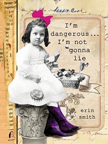 Book cover for I'm Dangerous...I'm Not Gonna Lie by Smith, Erin