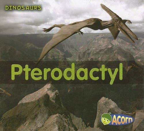 Book cover for Pterodactyl (Acorn) by Nunn, Daniel