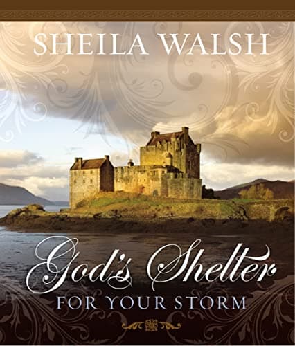 Book cover for God's Shelter for Your Storm: Overcoming Life's Storms with Faith by Walsh, Sheila