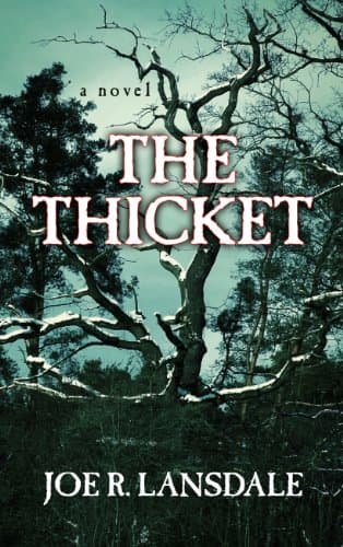 Book cover for The Thicket (Thorndike Press Large Print Peer Picks) by Lansdale, Joe R.