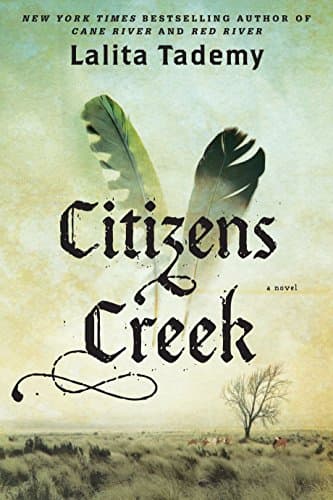 Book cover for Citizens Creek (Wheeler Large Print Book Series) by Tademy, Lalita