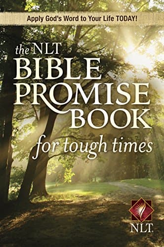 Book cover for The NLT Bible Promise Book for Tough Times (Softcover) by Beers, Ronald A.