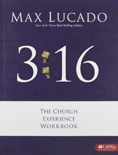 Book cover for 316 the Church Experience Workbook by Max Lucado