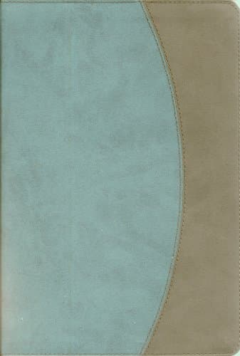 Book cover for The Charles F. Stanley Life Principles Bible, NKJV (teal/charcoal) by Stanley, Charles F.