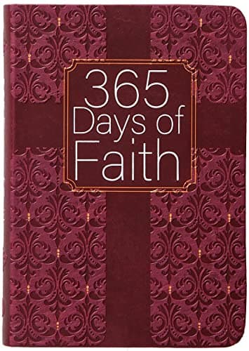 Book cover for 365 Days of Faith by Broadstreet Publishing Group Llc