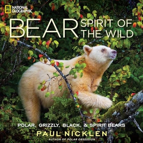 Book cover for Bear: Spirit of the Wild by Nicklen, Paul