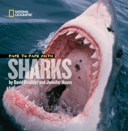 Book cover for Face to Face With Sharks (Face to Face with Animals) by Doubilet, David