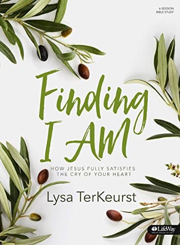 Book cover for Finding I AM: How Jesus Fully Satisfies the Cry of Your Heart - Bible Study Book by TerKeurst, Lysa