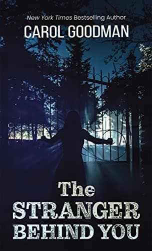 Book cover for The Stranger Behind You (Wheeler Publishing Large Print Hardcover) by Goodman, Carol