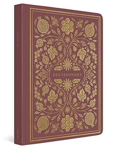 Book cover for ESV Illuminated Scripture Journal: Deuteronomy by ESV Bibles