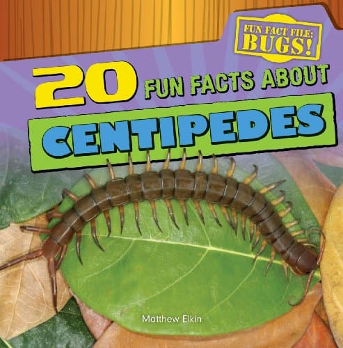 20 Fun Facts About Centipedes (Fun Fact File)