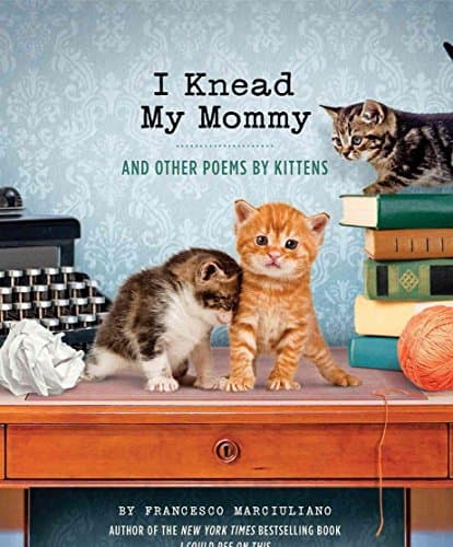 Book cover for I Knead My Mommy: And Other Poems by Kittens (Funny Book About Cats, Cat Poems, Animal Book) by Marciuliano, Francesco