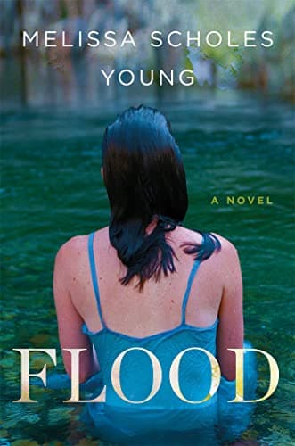 Book cover for Flood: A Novel by Young, Melissa Scholes