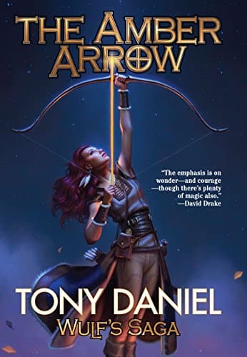 Book cover for The Amber Arrow (2) (Wulf’s Saga) by Daniel, Tony
