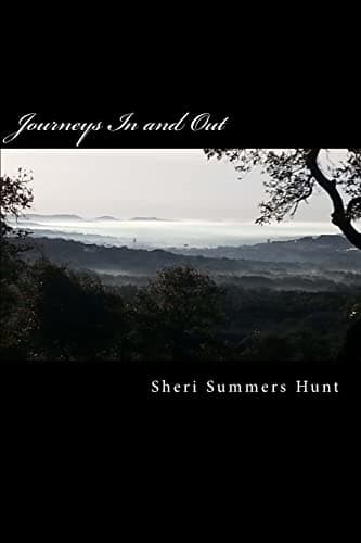 Book cover for Journeys In and Out by Hunt, Sheri Summers